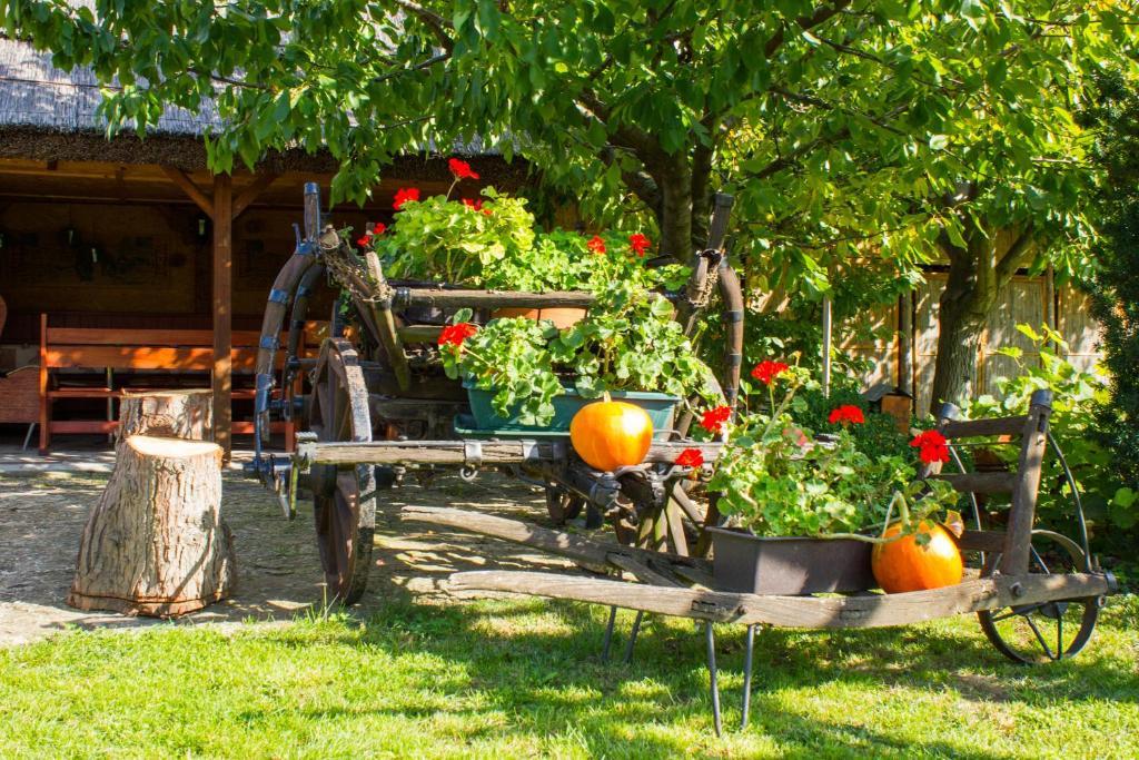 Kaktusz Villa Hévíz Esterno foto