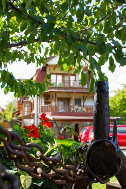 Kaktusz Villa Hévíz Esterno foto